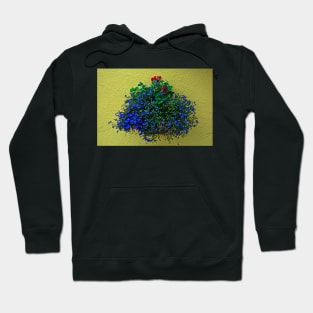 Flowers on the Wall Hoodie